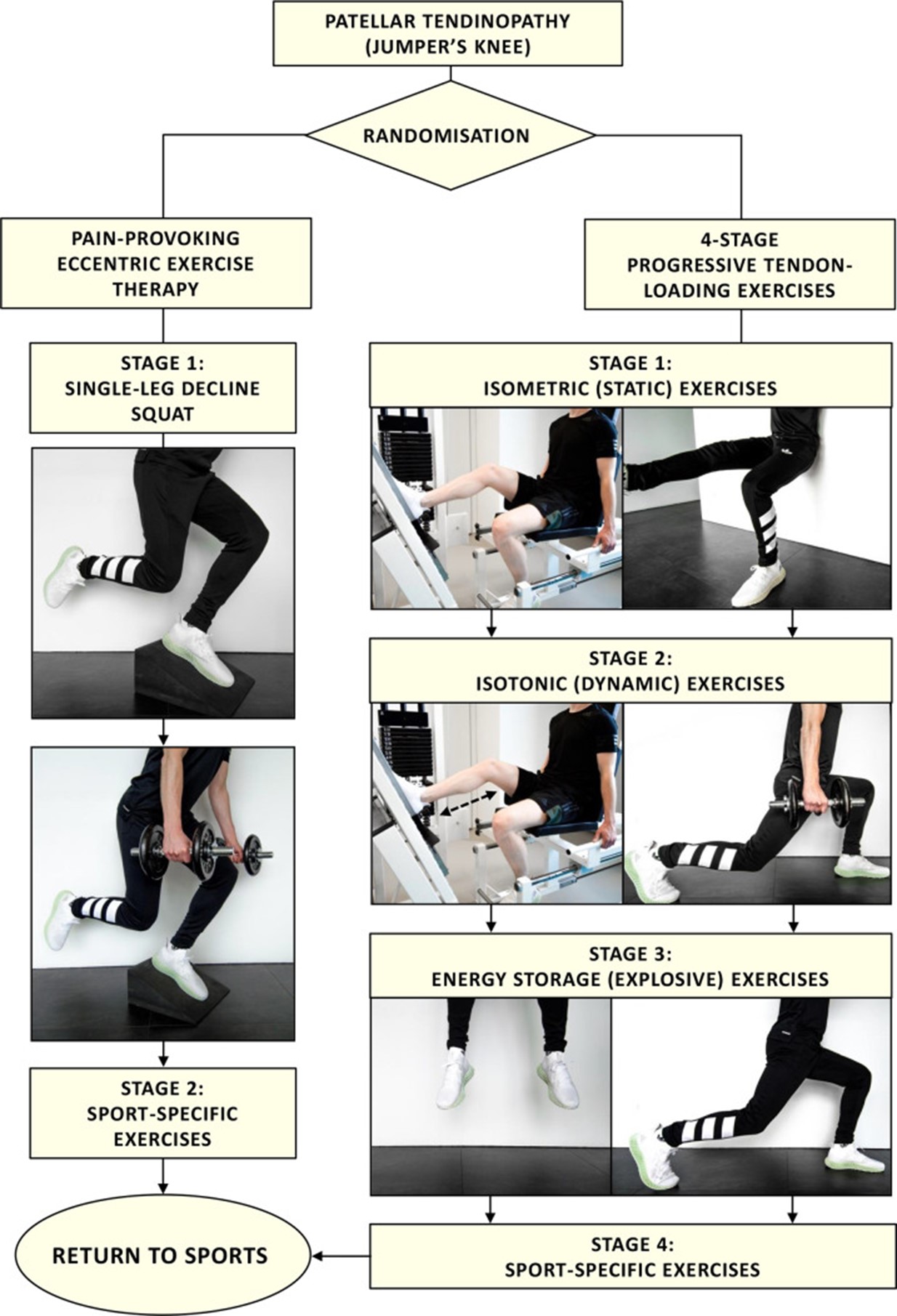 protocol progressieve belasting PT